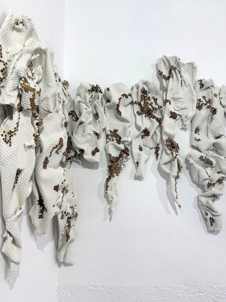 Laura Segura Gómez. 13º, 2026