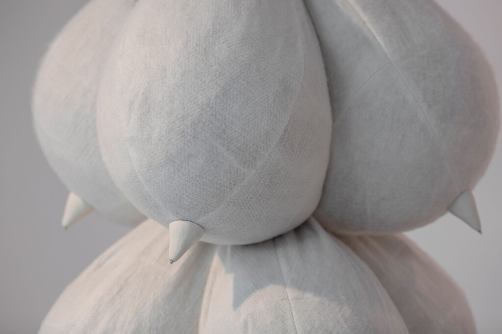 Laura Segura Gómez. Plétora, 2024