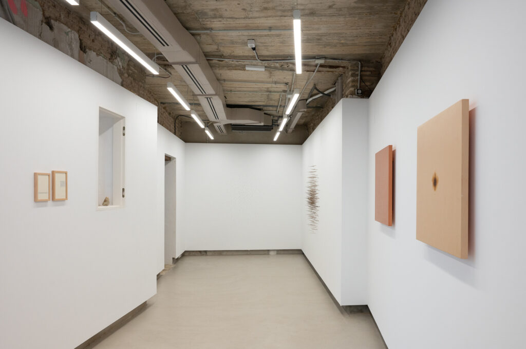 Rafa Chinchilla. Etimologías (la aspereza del invierno). Espacio Derivado