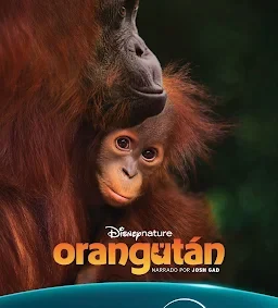 DISNEY+ celebró el día de la tierra con “Orangután” la nueva película de DISNEYNATURE