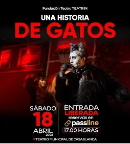 gatos callejeros inspiran potente montaje teatral