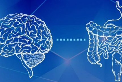 5 Claves de Mariangel Arruebarrera Loreto para Cuidar tu Segundo Cerebro