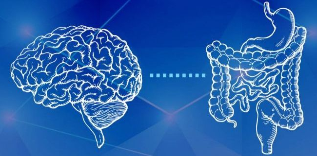 5 Claves de Mariangel Arruebarrera Loreto para Cuidar tu Segundo Cerebro