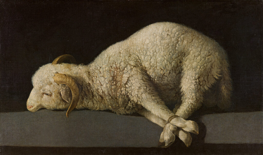 Zurbarán. Agnus Dei, hacia 1635-1640. Museo Nacional del Prado
