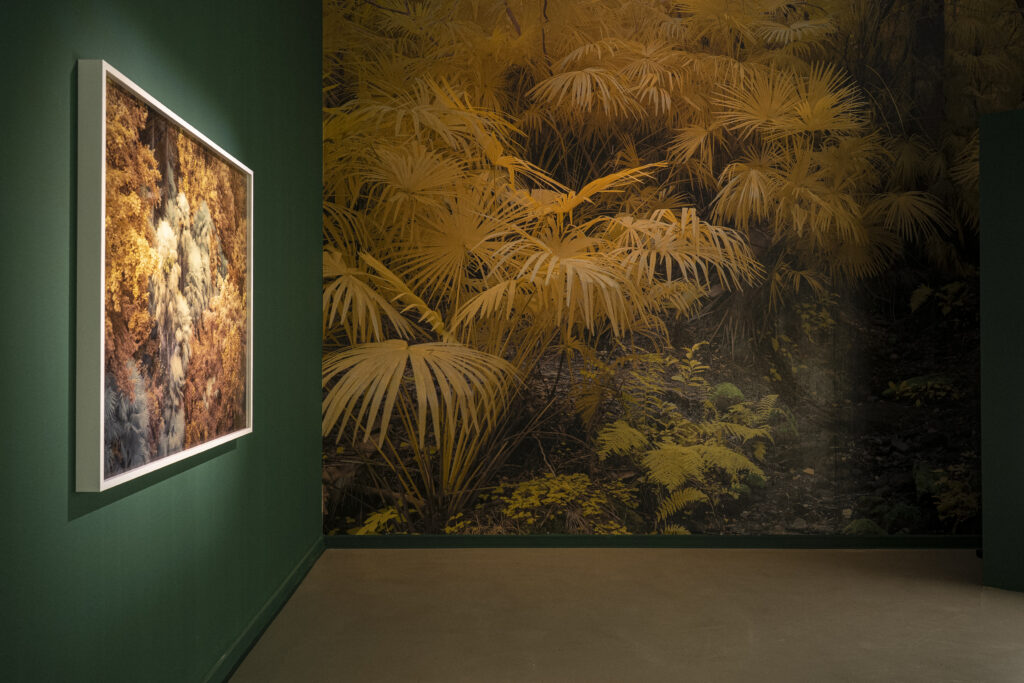 Drift. Yann Gross. La Casa Encendida