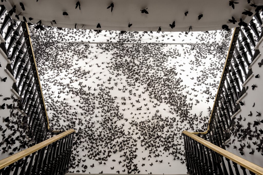 Carlos Amorales. Nube negra. Fundación Casa de México en Madrid