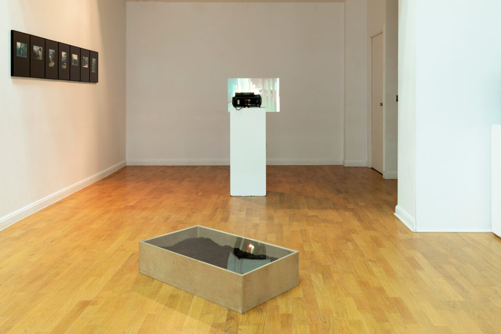 Cristóbal Ascencio. Las flores mueren dos veces. "Estrategias de recuperación", Instituto Cultural de México en España, Madrid, 2025