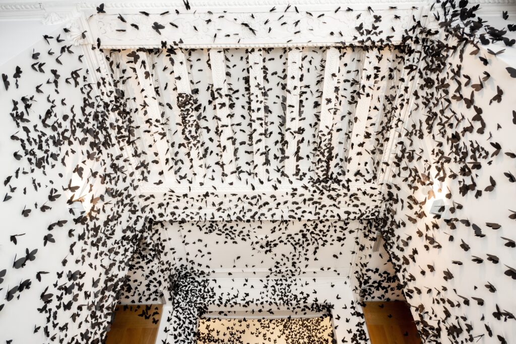 Carlos Amorales. Nube negra. Fundación Casa de México en Madrid