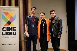 Cinelebu reivindica el video musical como obra artística