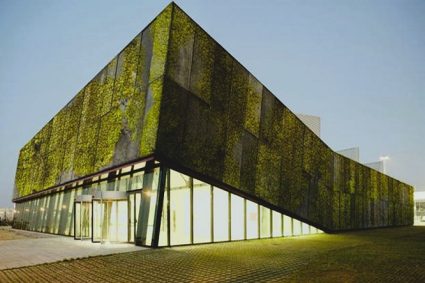 Concreto bioreceptivo: El futuro de las fachadas vivas
