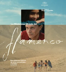 MUBI anuncia el estreno de la galardonada película “La misteriosa mirada del Flamenco”.