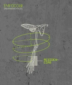 Ciclo de residencias del Programa EMFOCO 2026 apuesta por la exploración y creación en danza contemporánea desde el Biobío