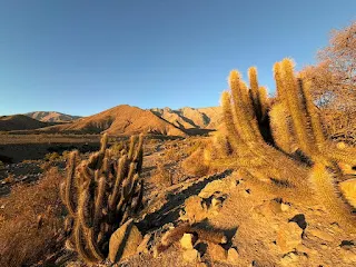 El ritual cinematográfico que une a México y el Valle del Elqui