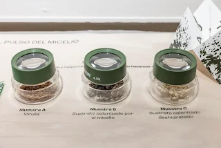 Exposición del año en Sala de Artes Usach explora cruces entre materia orgánica, cerámica, tecnología y procesos biológicos