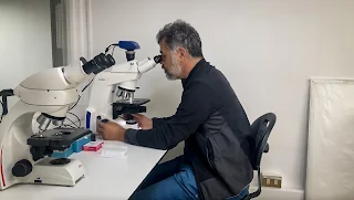 Investigadoras e investigadores brasileños realizan pasantía en INACH para estudiar el pasado de la Antártica