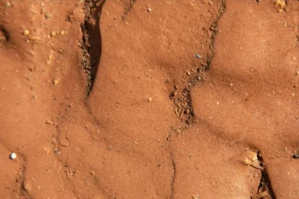 Materiales higroscópicos en rehabilitación: qué aportan arcilla, cal y tierra a la IAQ y al confort
