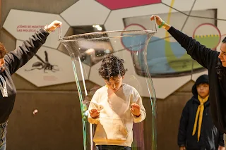 ciencia, curiosidad y entretención para toda la familia