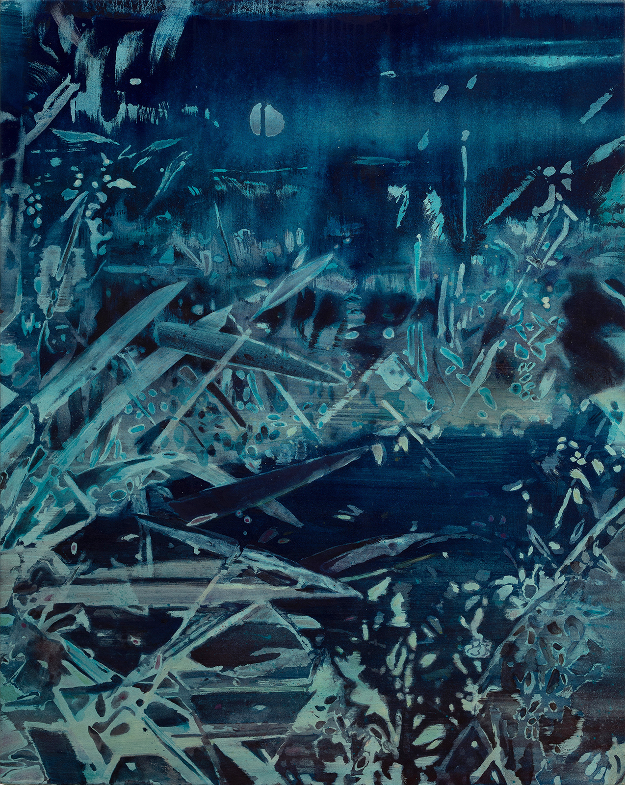 Sheila Cañestro. S/T (Lo cercano y lo desconocido), 2018