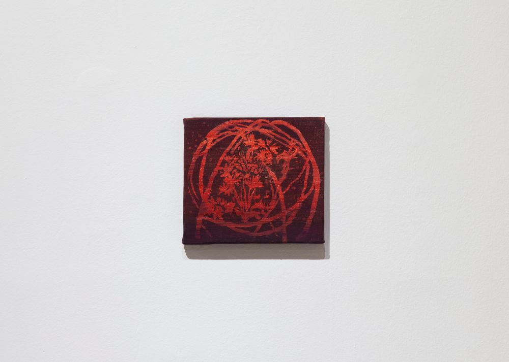 Sheila Cañestro. Cobijo, 2023. Serie Sobre la tierra y bajo el cielo