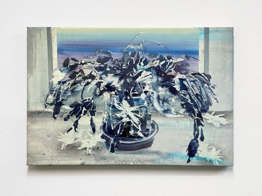 Sheila Cañestro. Schlumbergera, 2026. Serie Reliquias