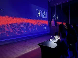 Iniciativa que traduce datos oceanográficos en una instalación interactiva participará en el XLV Congreso de Ciencias del Mar 2026