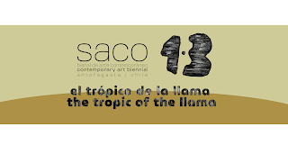 La Bienal de Arte Contemporáneo SACO anuncia el tema de su próxima edición