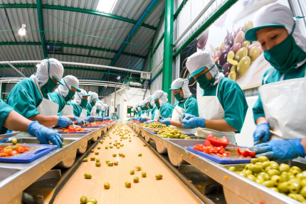 Errores comunes al iniciar un negocio en el sector alimentario y cómo evitarlos por Mauro Libi