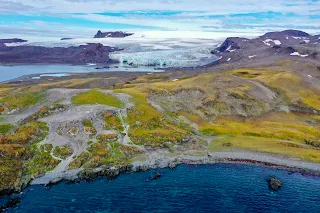 Científicos reconstruyen el primer mapa genético de una planta nativa de la Antártica