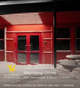 Magdalena Correa en Aninat Galería.
